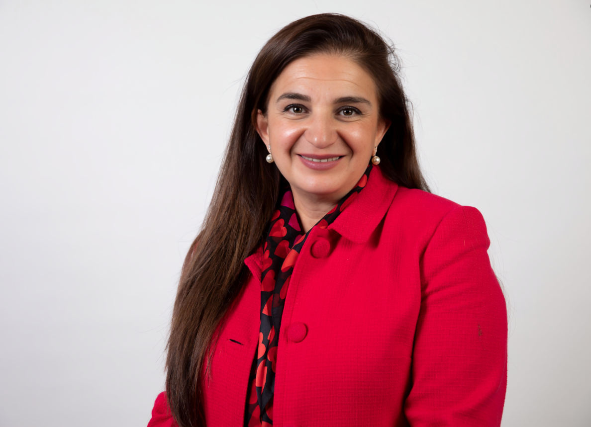 Roxana Mehran